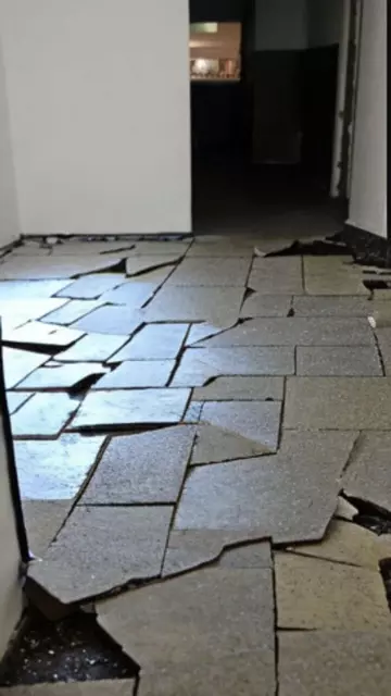 screeding in singapore